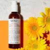 Calendula2