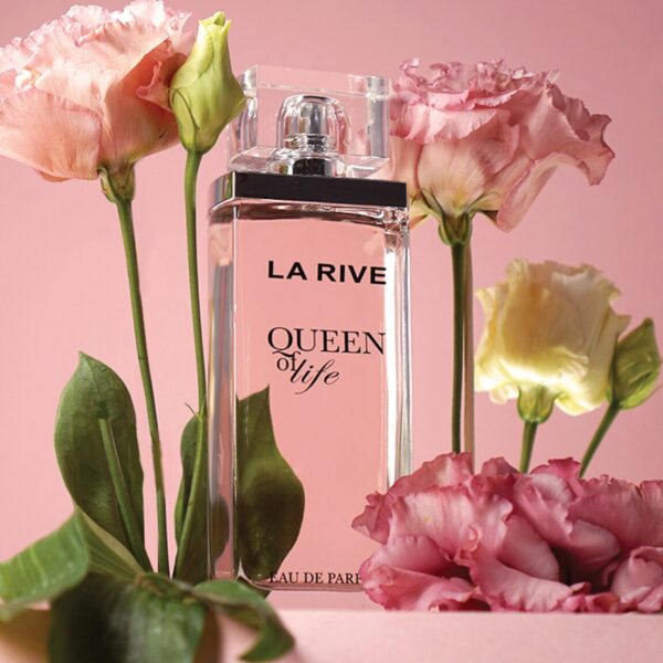 QUEEN_OF_LIFE1