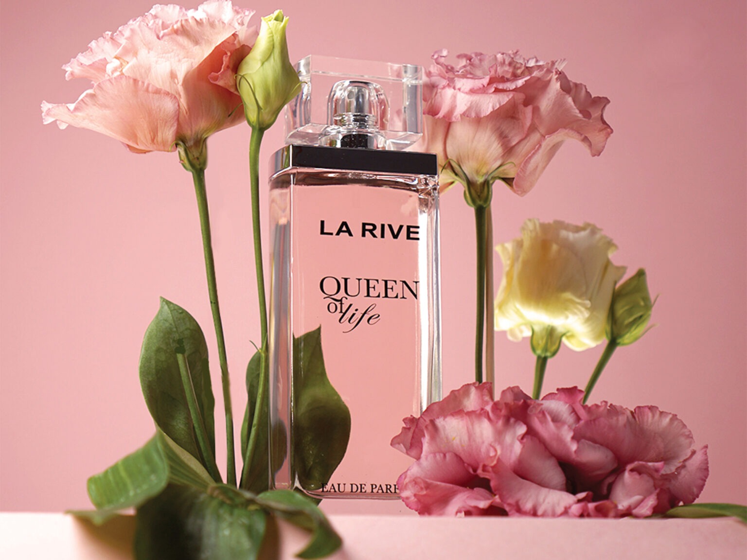 QUEEN_OF_LIFE1 QUEEN_OF_LIFE1